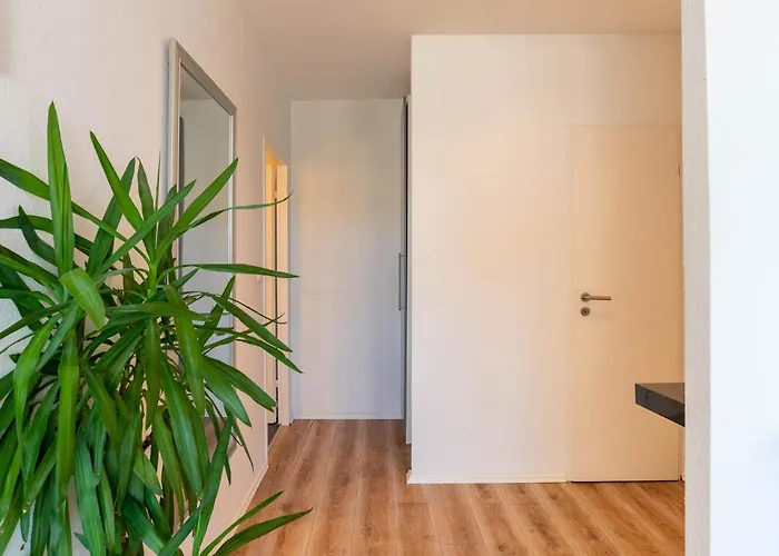 Laser Ii Apartman Schilksee